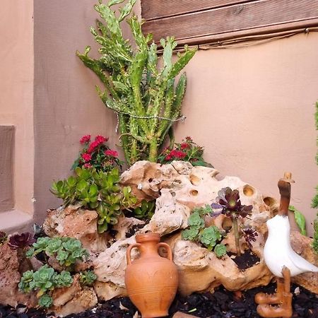 Cypress Garden House Daire Gazi Dış mekan fotoğraf